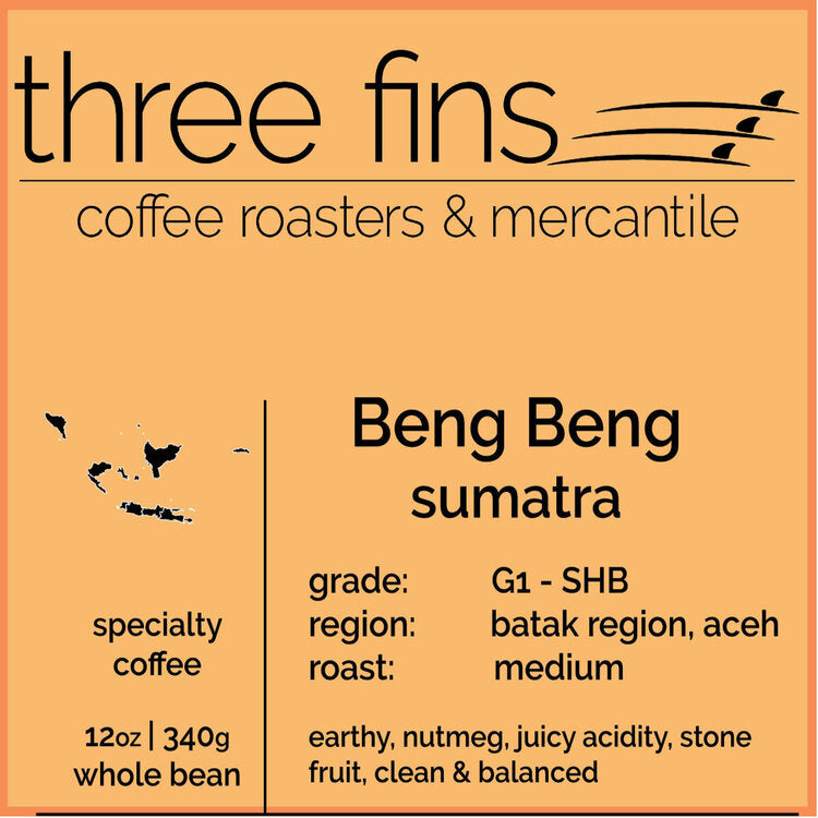 FP 065 - Three Fins Beng Beng Sumatra