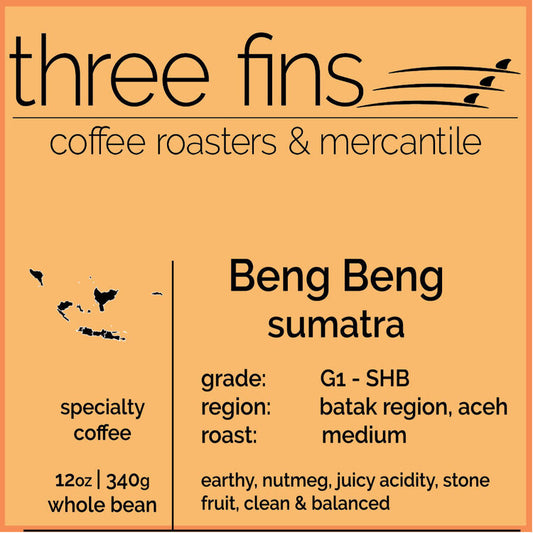 FP 065 - Three Fins Beng Beng Sumatra