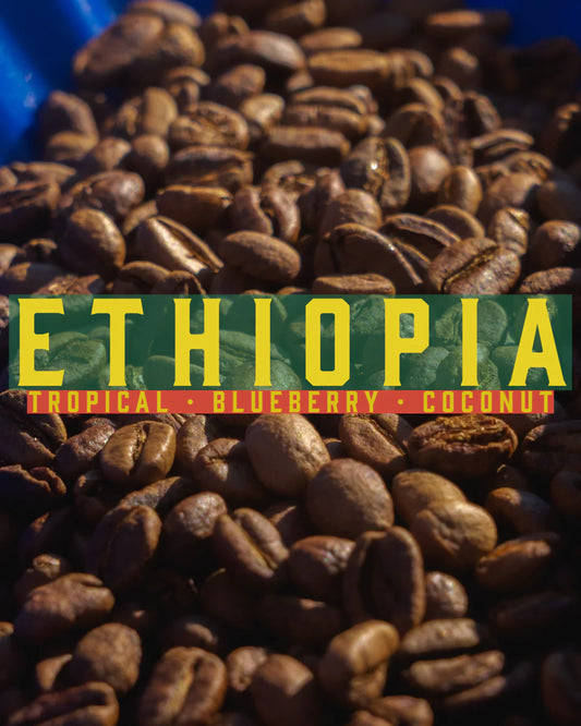 FP 083-002 - Ethiopia - Sidamo Faysel Abdosh Karamo Anaerobic Natural