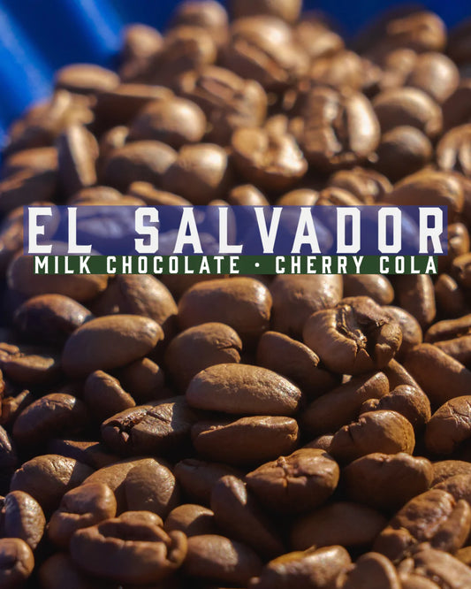 FP 079-002 - El Salvador - Finca Colomba Pacamara Natural