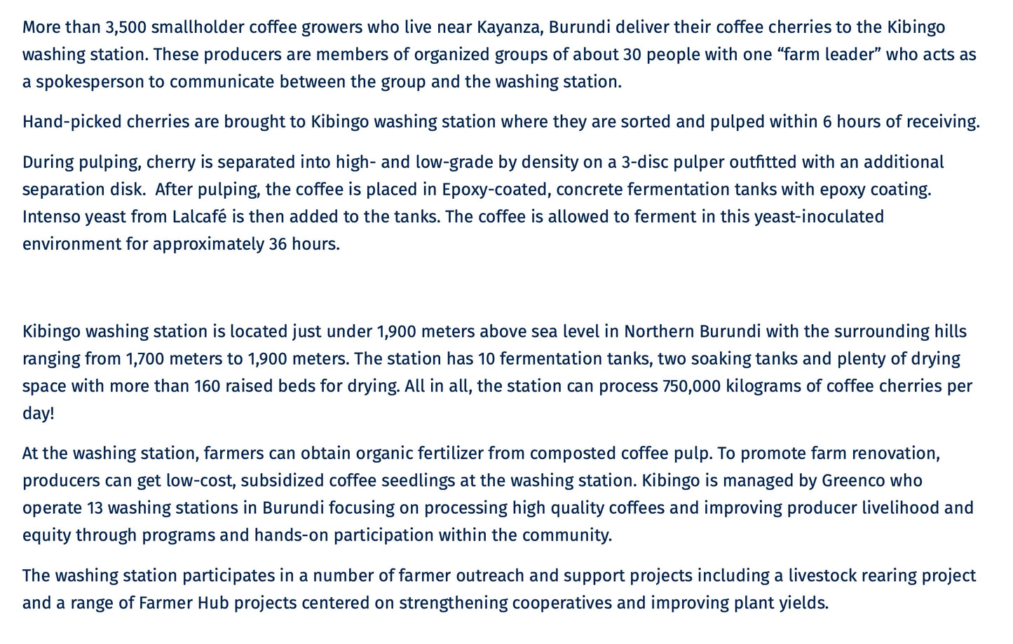 FP 076-002 - Burundi - Kibingo Station Intenso Yeast Fully Washed