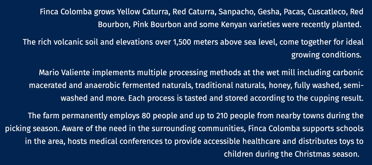 FP 082-005 - El Salvador - Finca Colomba Nazareno #2 Bourbon Reposado Natural