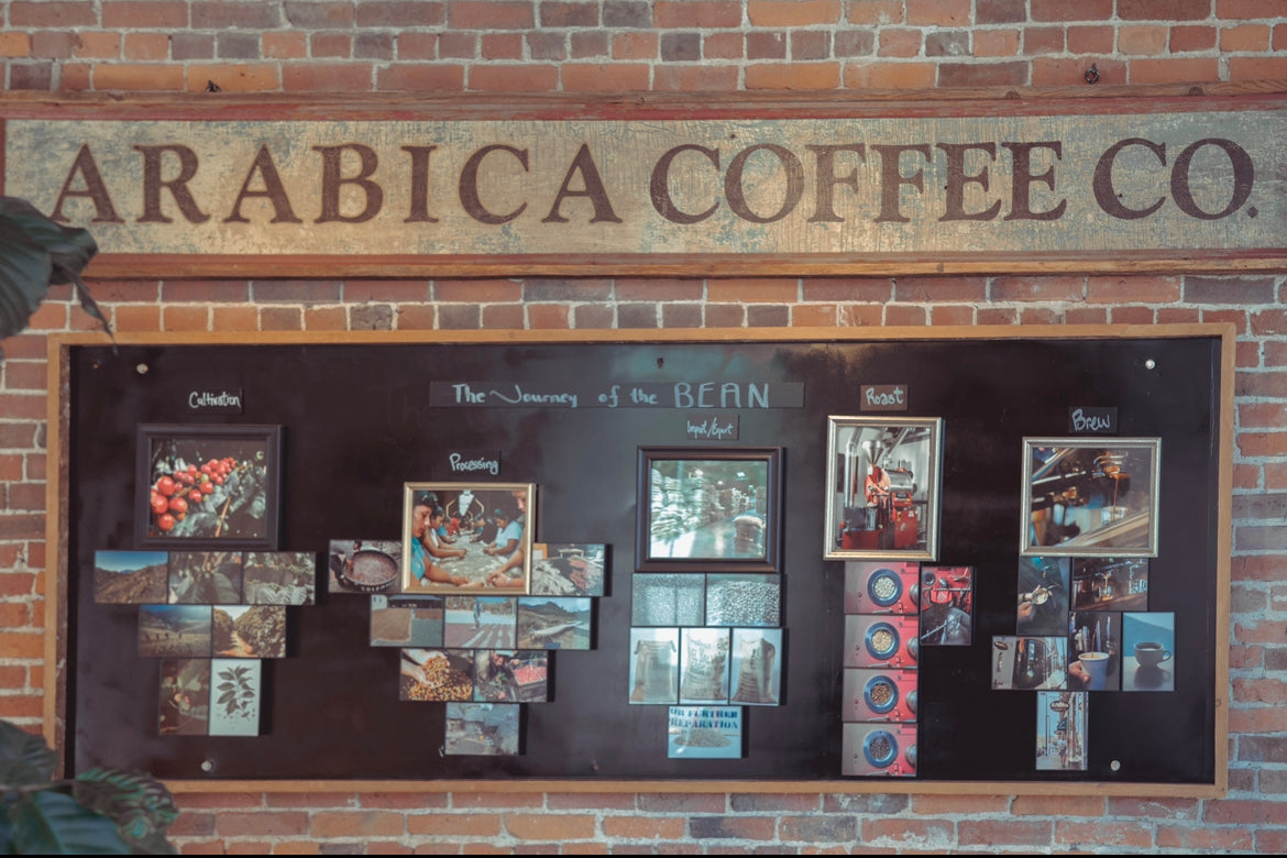 FP 071 - Arabica Coffee Co - Free St. Blend