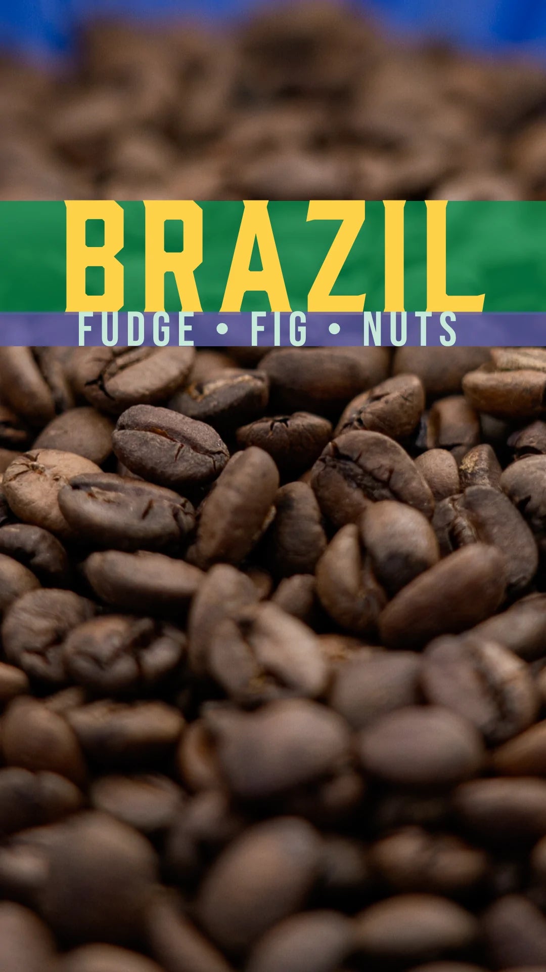 FP 055-005 Brazil COOPADAP