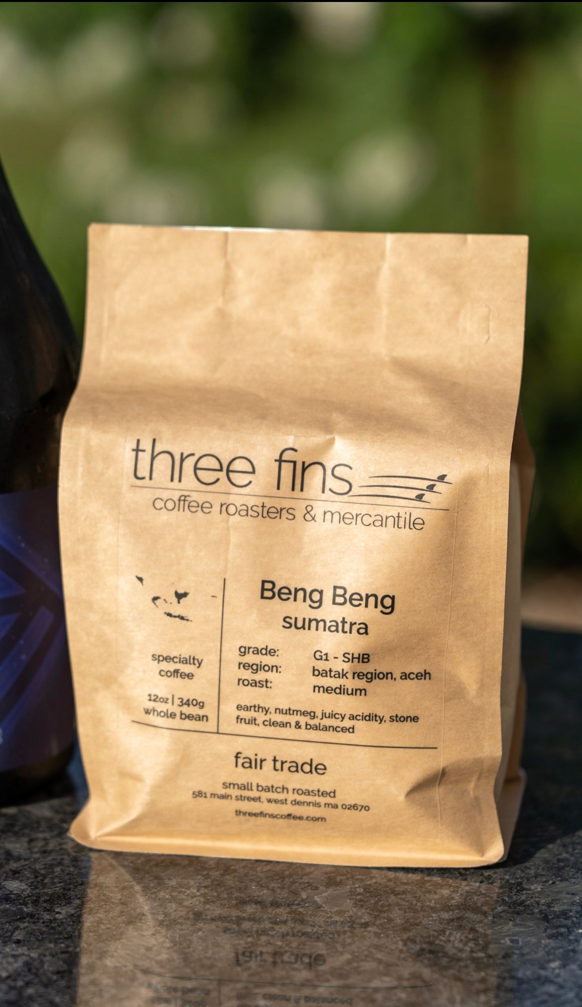 FP 065 - Three Fins Beng Beng Sumatra